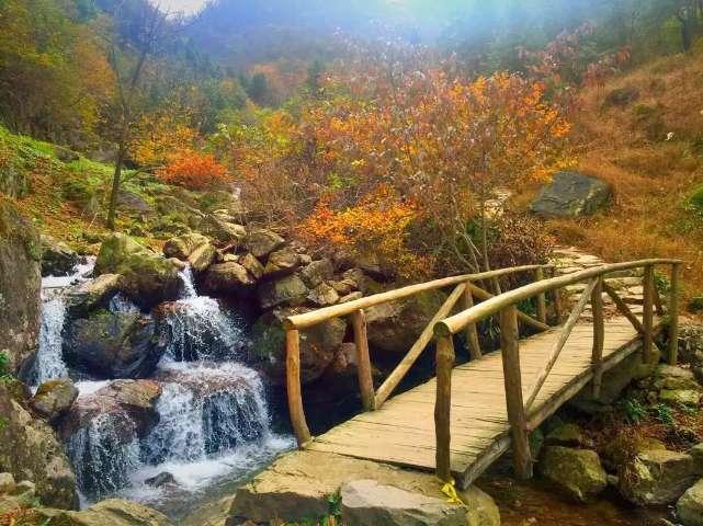 竞技宝登录