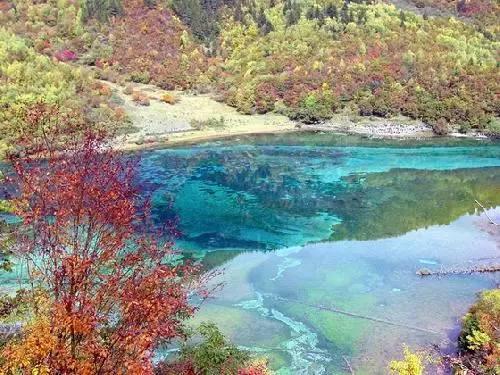 小榄轻轨站现在用核酸检测吗?-智能问答社区